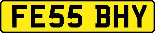 FE55BHY