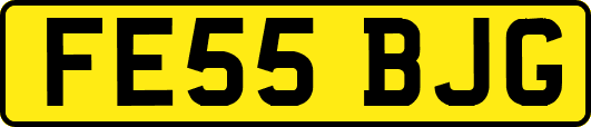 FE55BJG