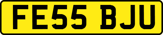 FE55BJU