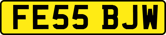 FE55BJW