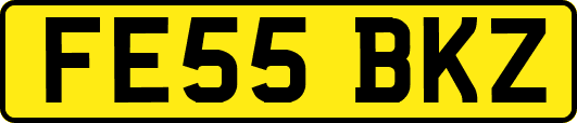 FE55BKZ