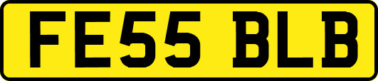 FE55BLB