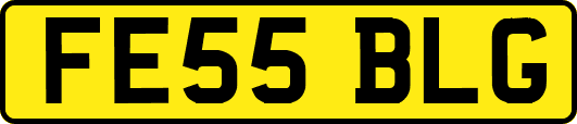 FE55BLG