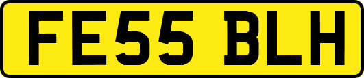 FE55BLH