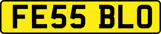 FE55BLO