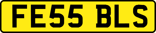 FE55BLS