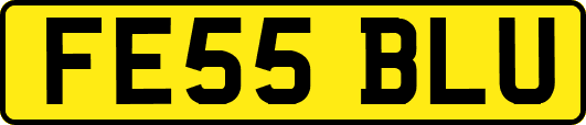 FE55BLU