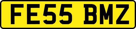 FE55BMZ