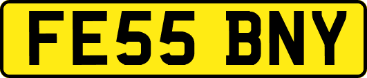 FE55BNY