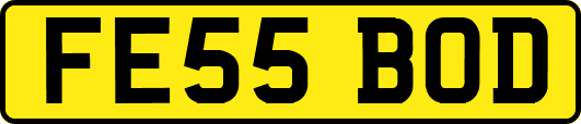 FE55BOD