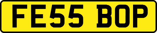 FE55BOP
