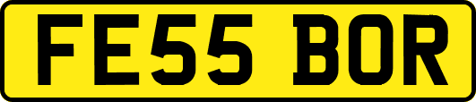 FE55BOR
