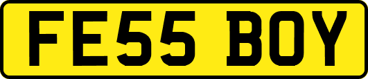 FE55BOY