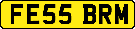 FE55BRM