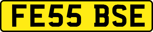 FE55BSE