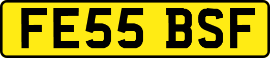 FE55BSF