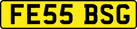 FE55BSG
