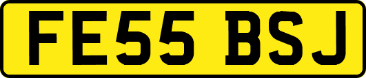 FE55BSJ