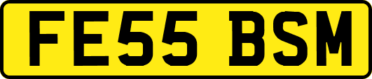 FE55BSM