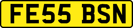 FE55BSN