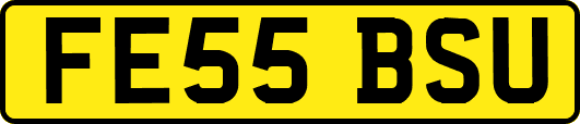 FE55BSU