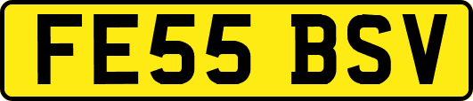 FE55BSV