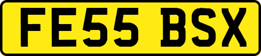 FE55BSX