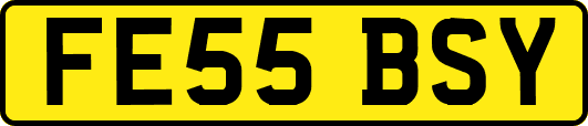 FE55BSY
