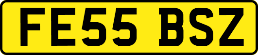 FE55BSZ