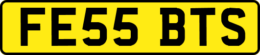 FE55BTS