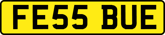 FE55BUE