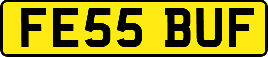 FE55BUF