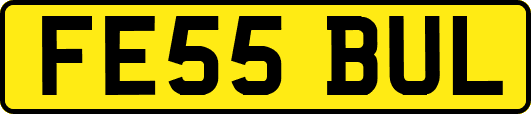 FE55BUL
