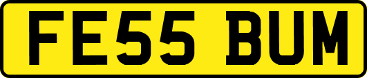 FE55BUM