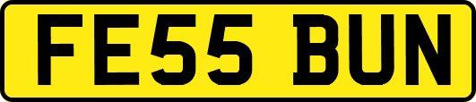 FE55BUN