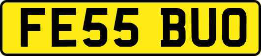 FE55BUO
