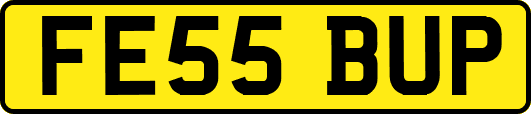 FE55BUP