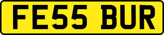 FE55BUR