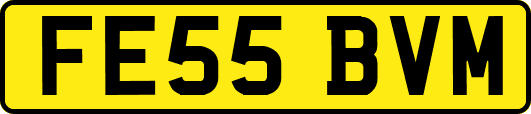 FE55BVM