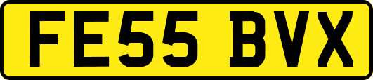 FE55BVX