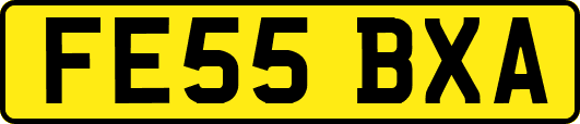 FE55BXA