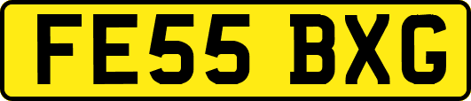 FE55BXG
