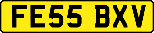 FE55BXV