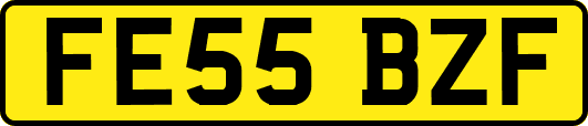 FE55BZF