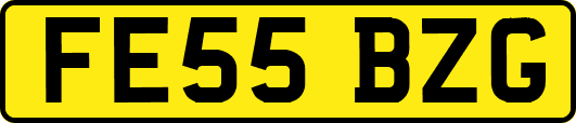 FE55BZG