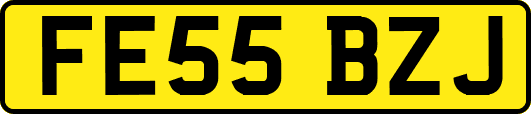 FE55BZJ