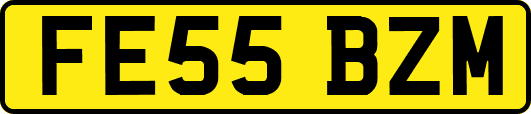 FE55BZM
