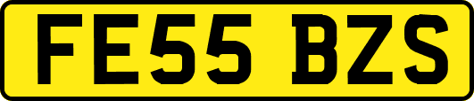FE55BZS
