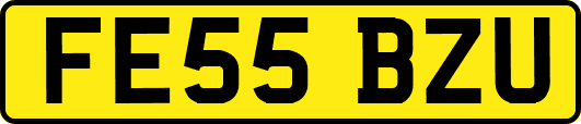 FE55BZU