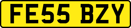 FE55BZY